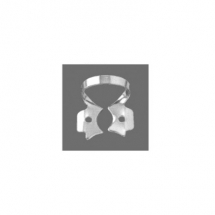 Lower Molars