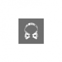 Anterior