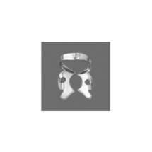 Molars