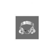 Anterior