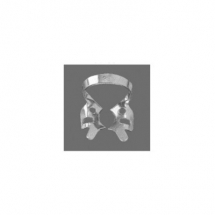 Upper Molars
