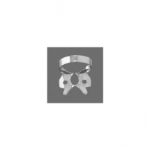 Lower Molars
