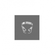 Molars