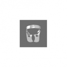 Lower Molars