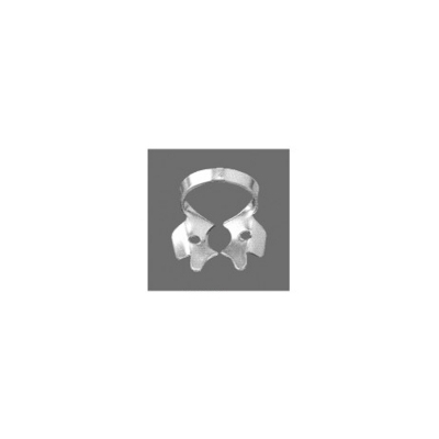 Upper Molars