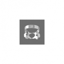 Molars
