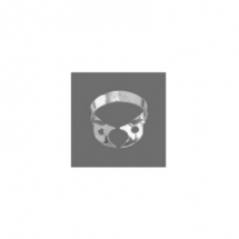 Molars