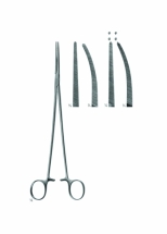 Delicate Haemostatic Forceps