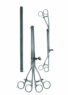 Intestinal Clamps