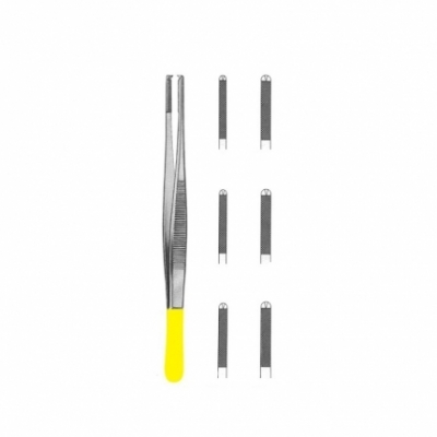 Dissecting Forceps & Needle Holder T.C Instruments