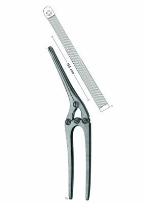 Intestinal and Pylorus Clamps