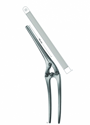 Intestinal and Pylorus Clamps