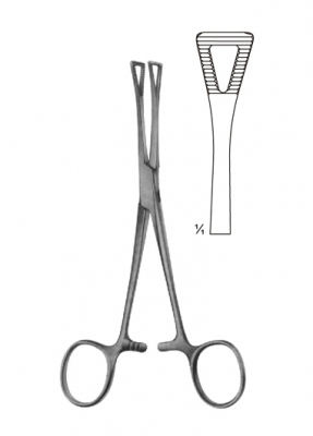 Dressing, sponge Holding, Organ and Tissue Grasping Forceps and Haemostatic Forceps