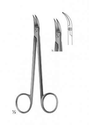 Delicate Scissors