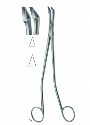 Biopsy Forceps