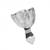 Impression Trays