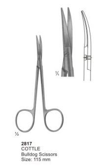 Scissors